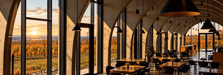 LAHOFER nabídne svatomartinskou husu mezi znojemskými vinicemi